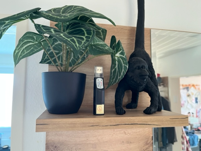 Feuchtigkeits-Langzeitmessungen mittels Datenlogger Bild